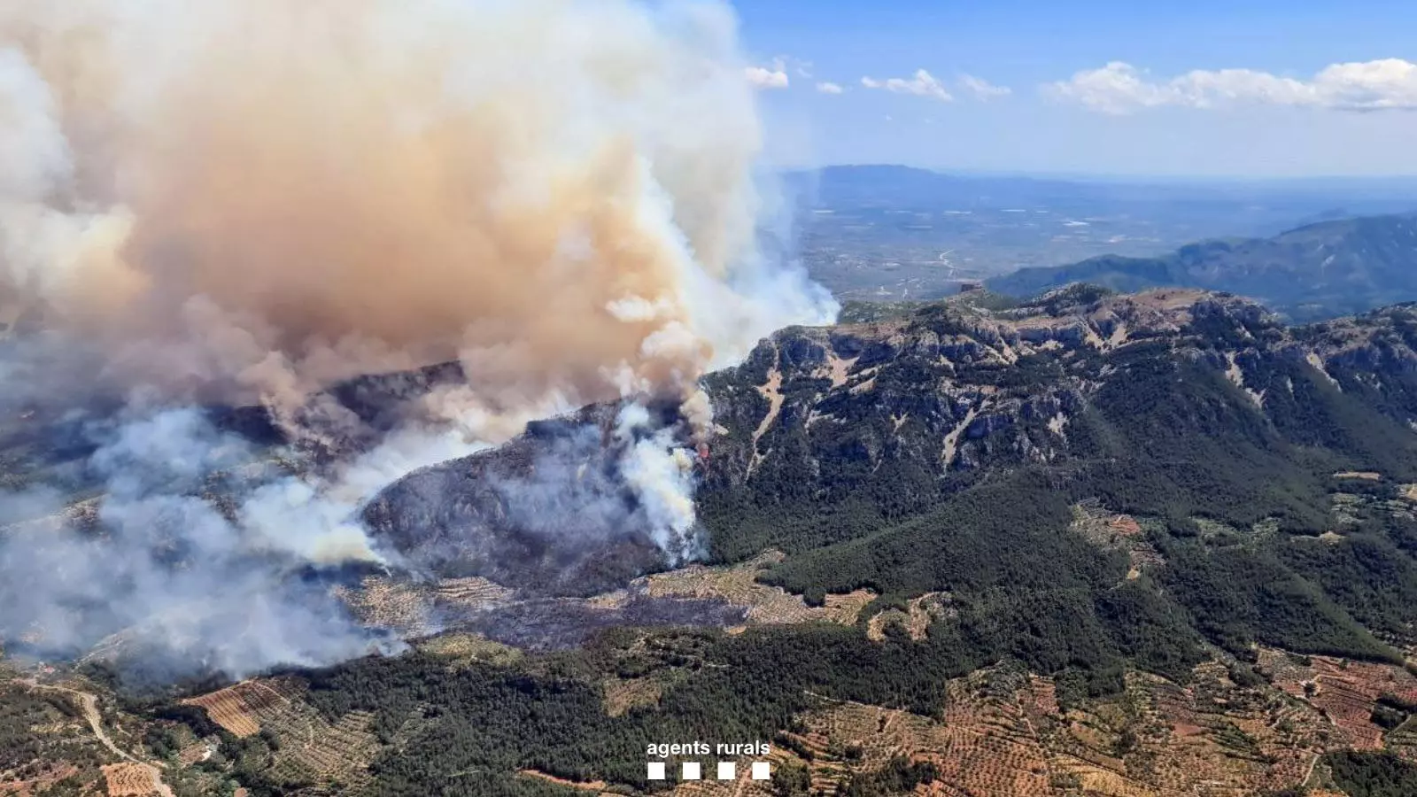 Incendio Forestal en Paüls: Una Lucha Incesante por el Control