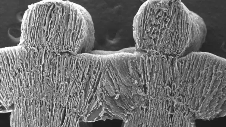 Innovación Revolucionaria: Una Esponja Solar Transforma Agua Salada en Potable