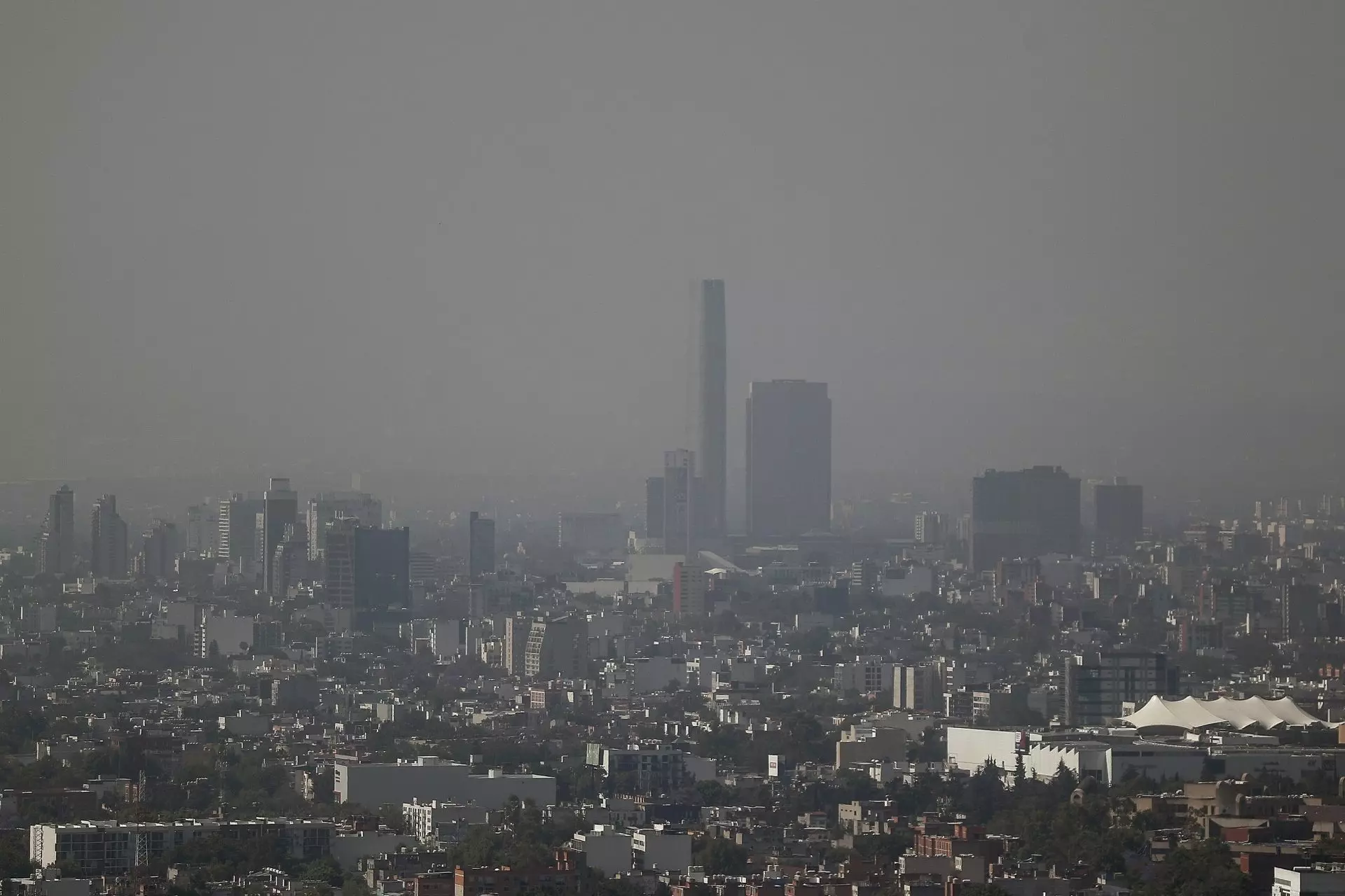 La OPEP Prevé un Freno a las Políticas Climáticas y Mayor Demanda de Petróleo