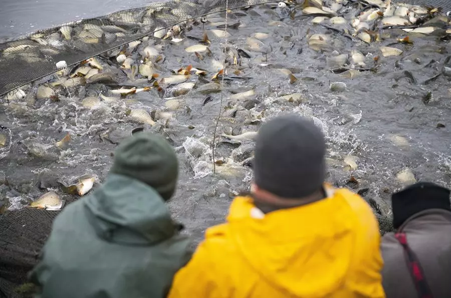Demanda Legal contra Francia por Pesca de Arrastre de Fondo