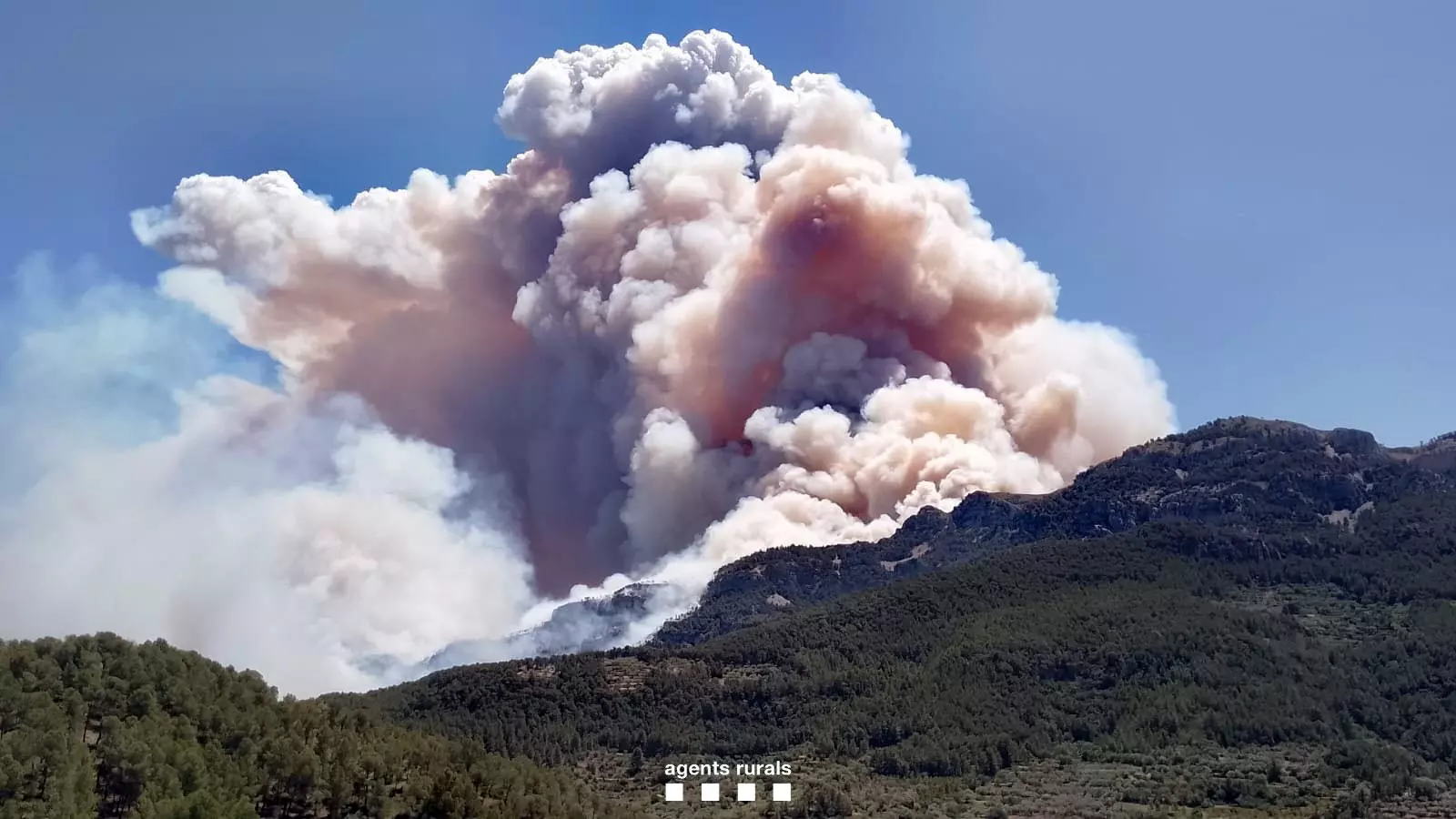 Incendios Forestales en Áreas Protegidas: Un Desafío Creciente
