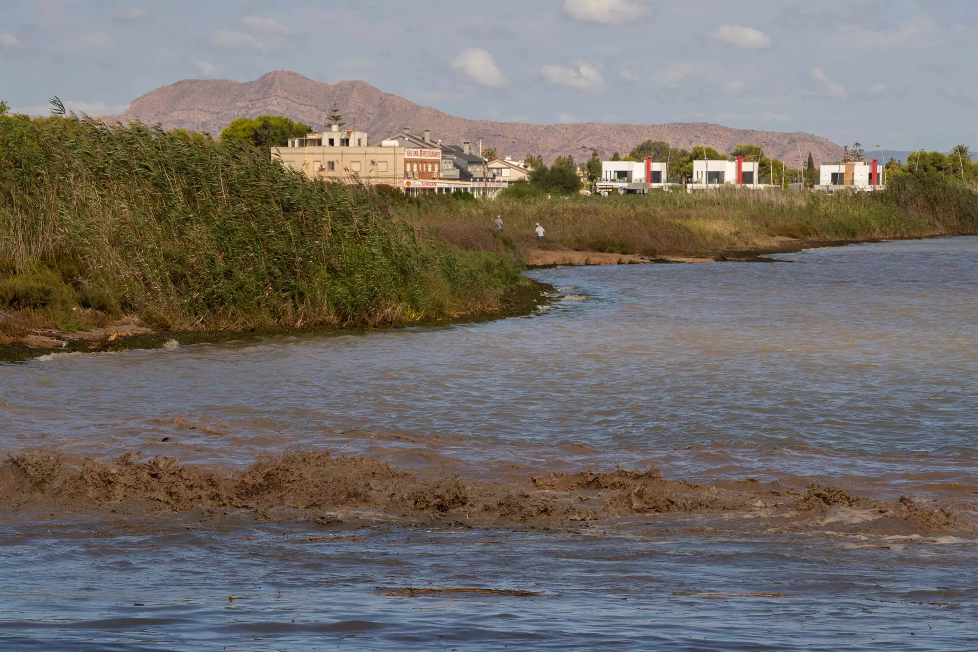 Avances en la Protección Jurídica de la Naturaleza en España: El Precedente del Mar Menor y Nuevas Iniciativas
