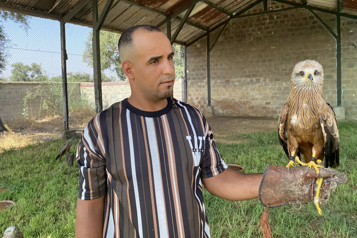Centro de Rescate Al Vuelo: Esperanza y Liberación para Aves Rapaces en Marruecos
