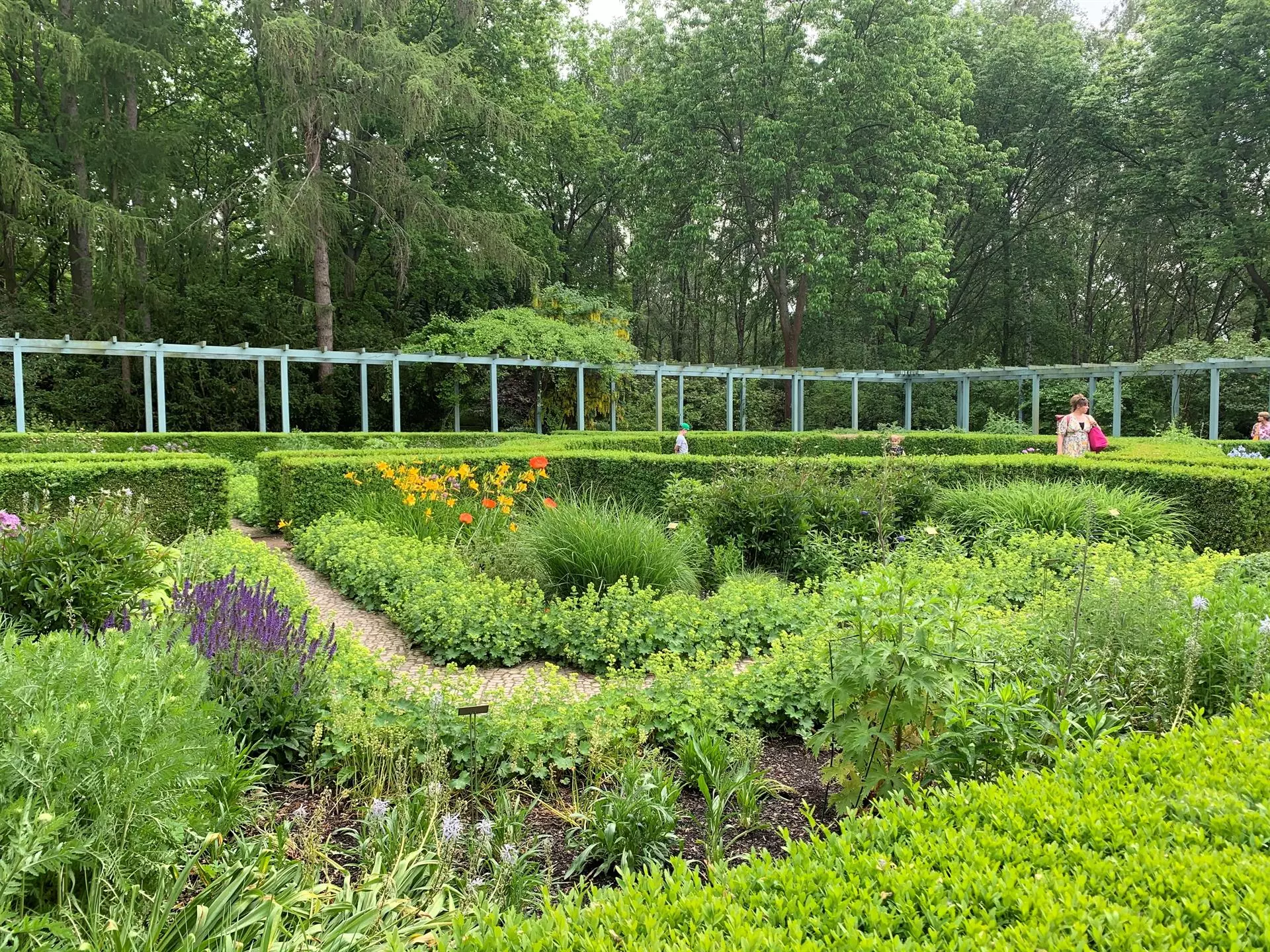 La Influencia Botánica en la Identidad Española: Nombres y Apellidos con Raíces Vegetales