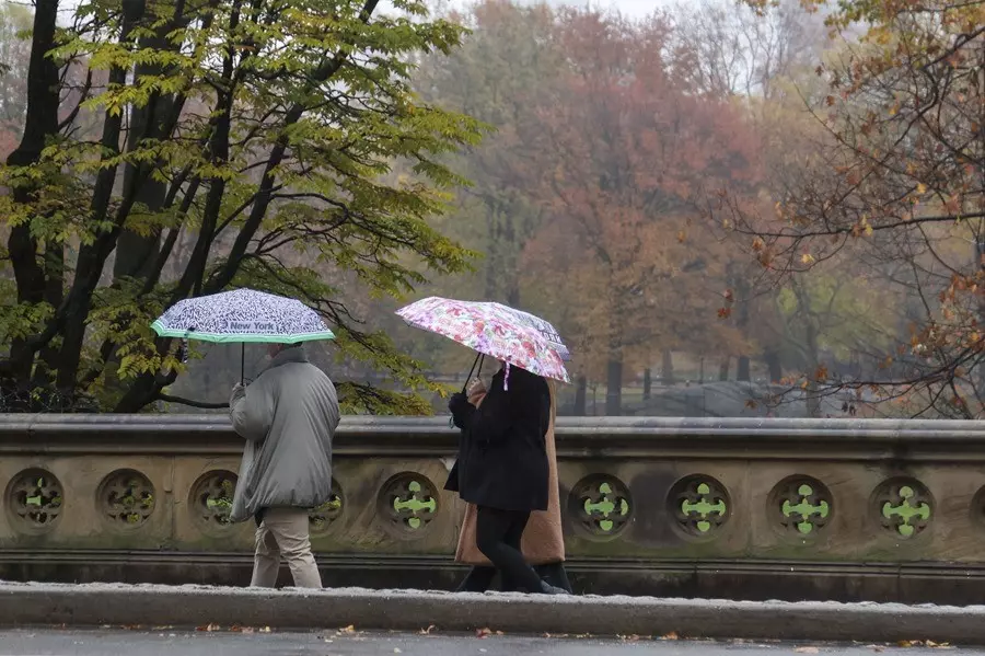Nueva York Refuerza su Defensa Contra Inundaciones con Estrategias Verdes y Renovación de Infraestructura
