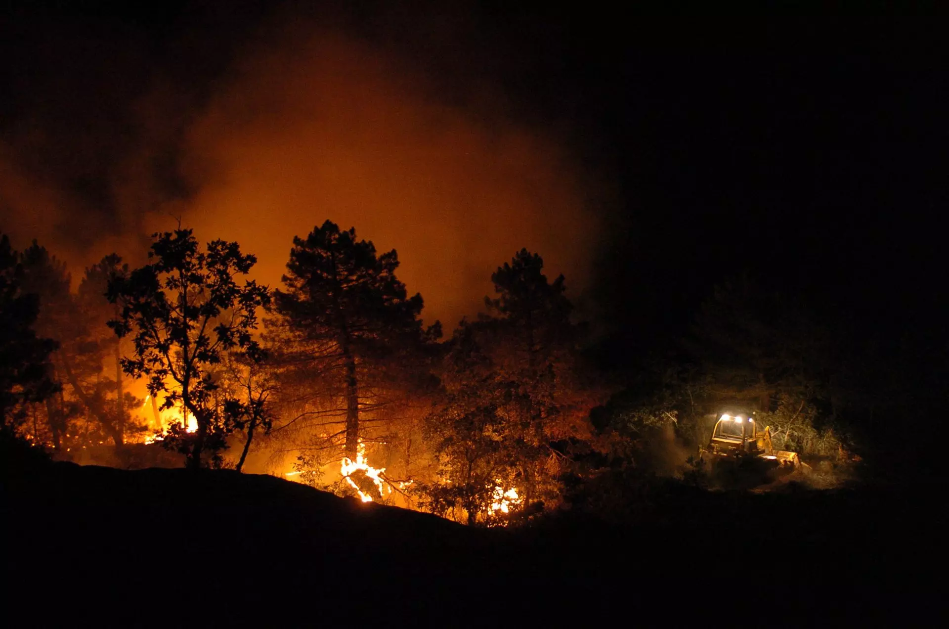 El Incendio de Guadalajara: Un Hito Transformador en la Gestión Forestal Veinte Años Después