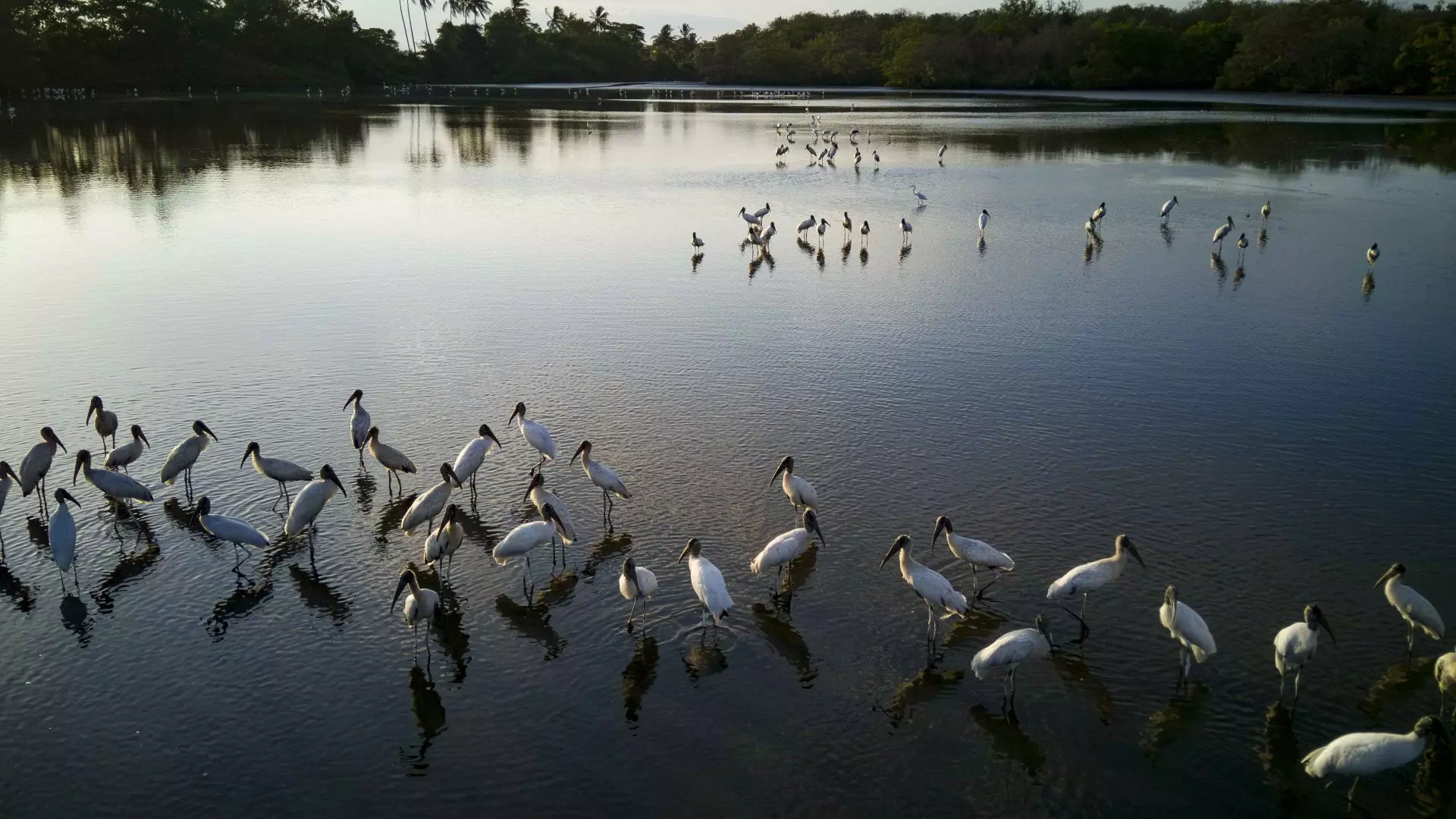 La inminente catástrofe económica de la pérdida de humedales: un costo de 39 billones de dólares proyectado