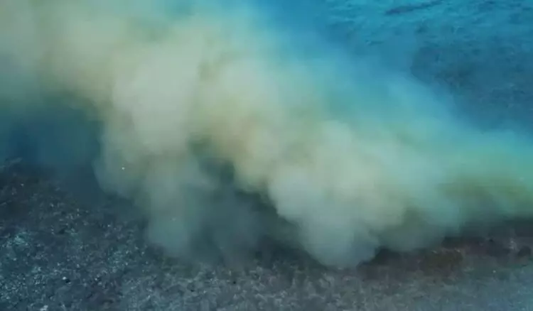 Alarmante Problema de Vertidos Incontrolados en las Costas Canarias