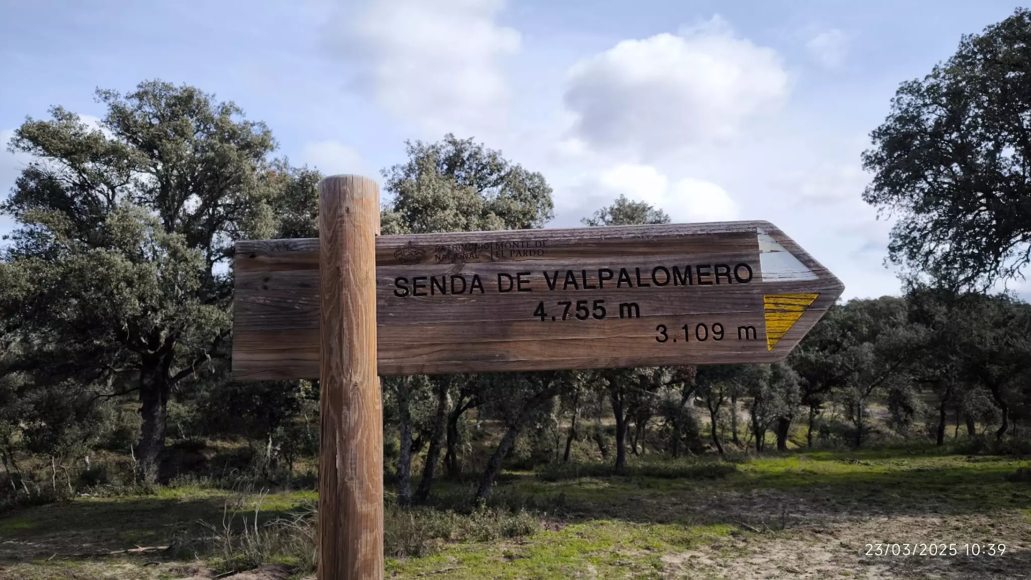 El Turismo Regenerativo: Una Oportunidad Sostenible Ignorada por el Sector Hotelero