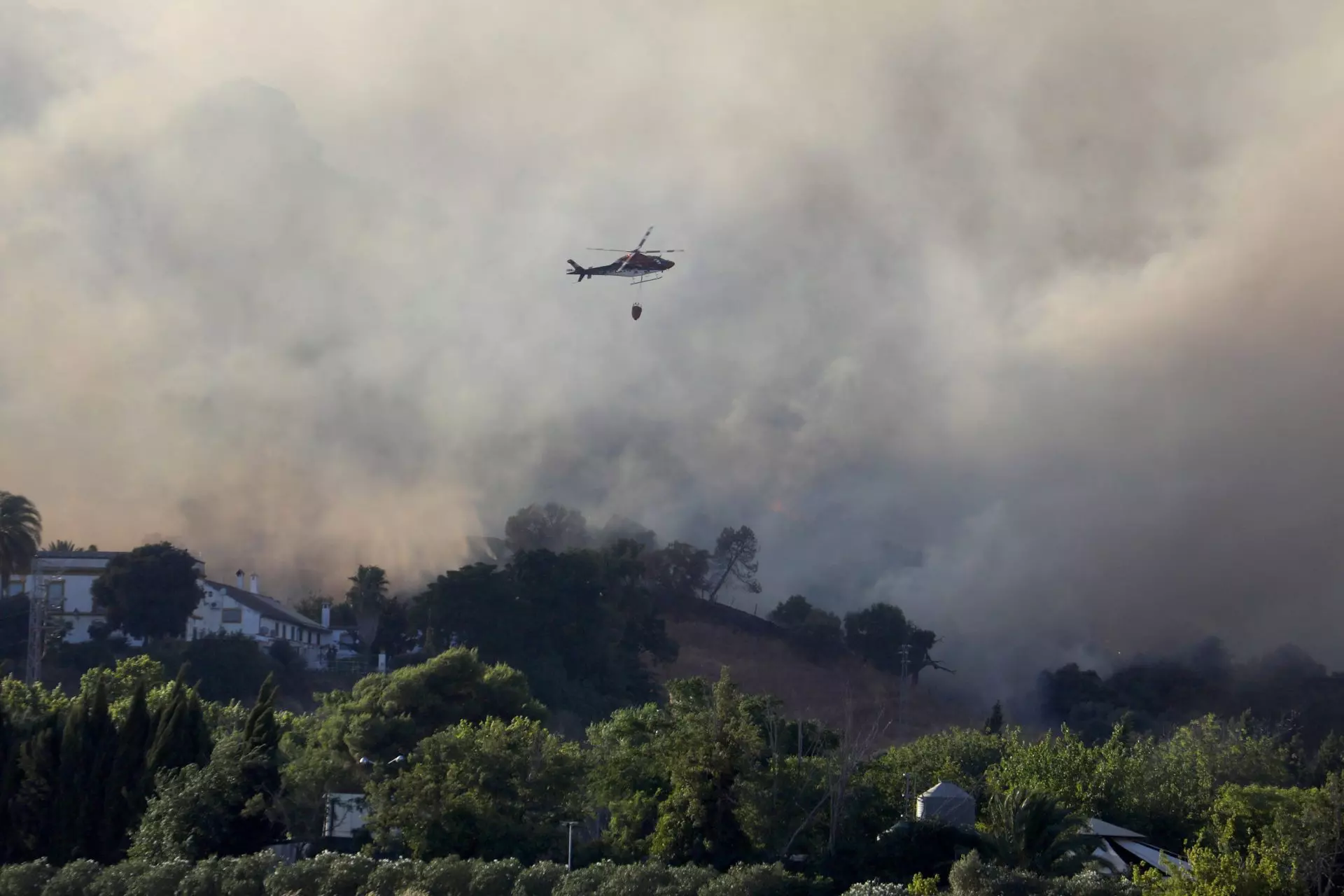 Incendios Forestales en España: Un Desafío Ambiental y una Oportunidad de Gestión Sostenible