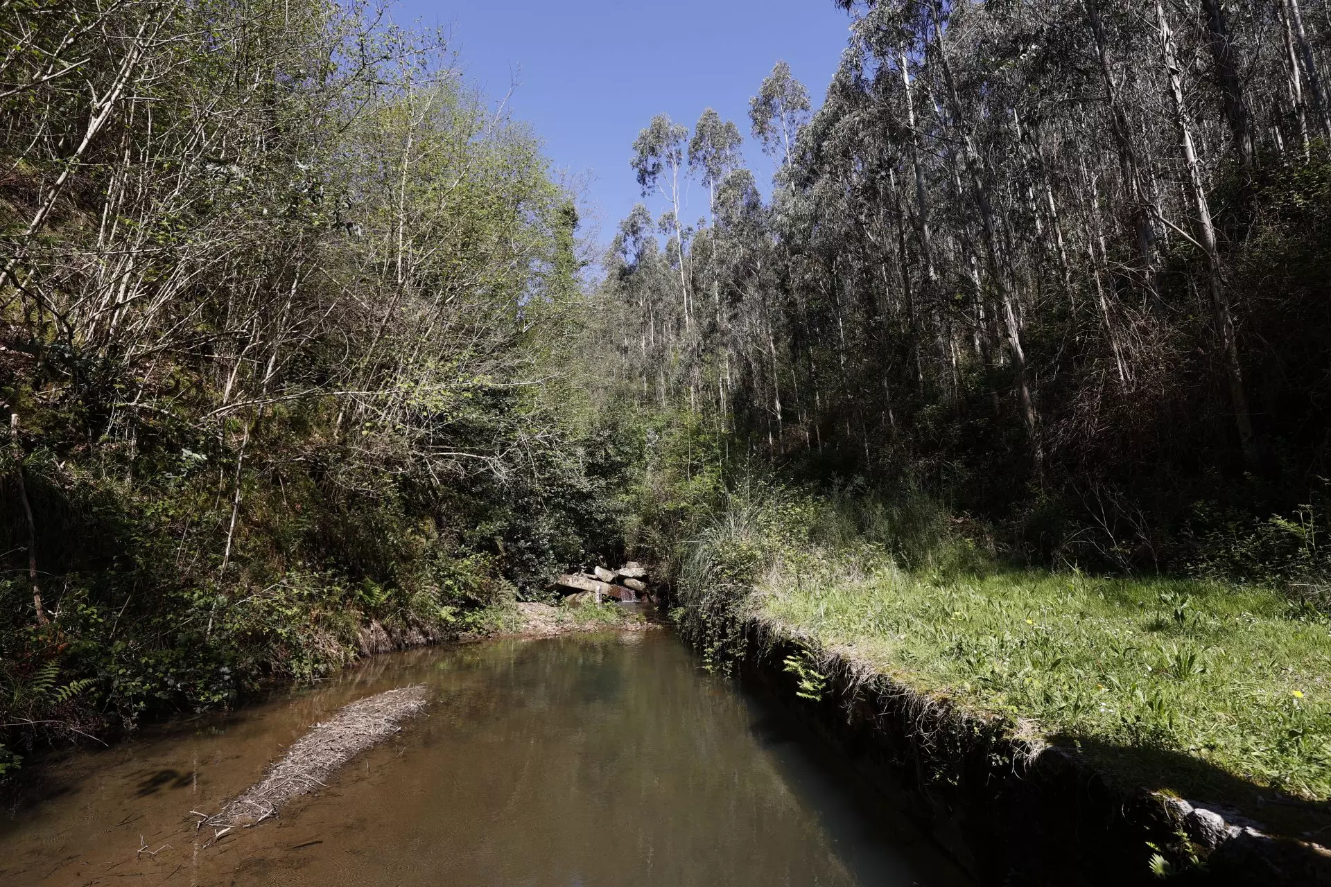 Innovación en Gestión Hídrica: Urdaibai Lidera el Futuro del Agua Potable