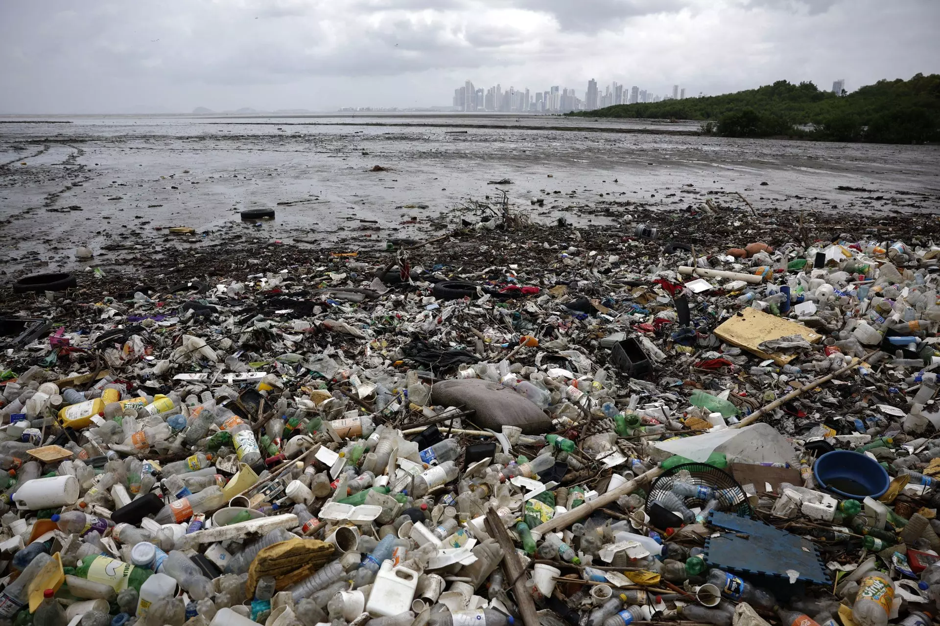 Urgente Llamado de WWF: Hacia un Tratado Global Robusto contra la Contaminación por Plásticos