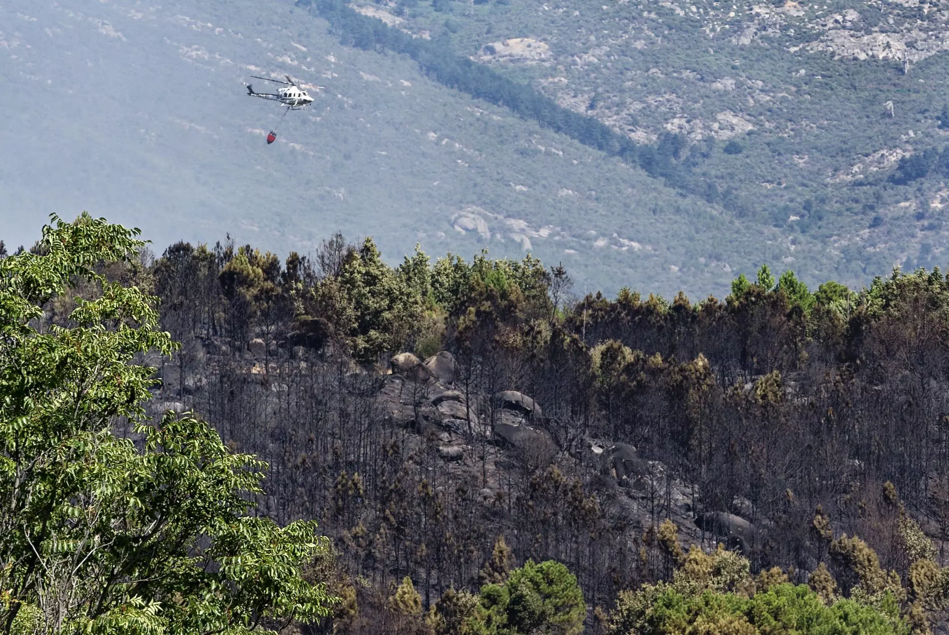 Incendio Forestal en Ávila: El Arenal Confinado por Humo