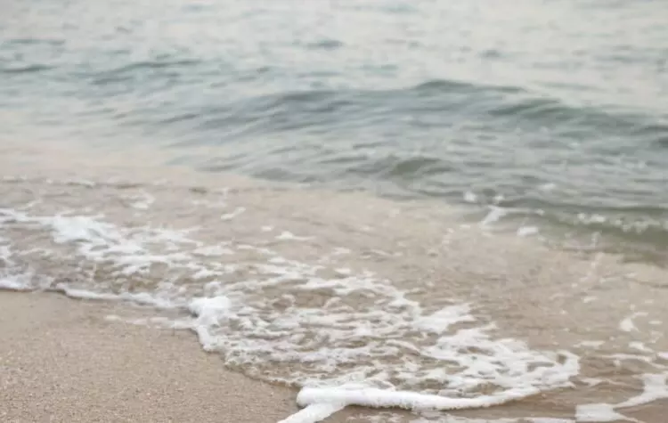Cierre de Playas en Alboraya por Contaminación Residual: Un Problema Urgente para Valencia