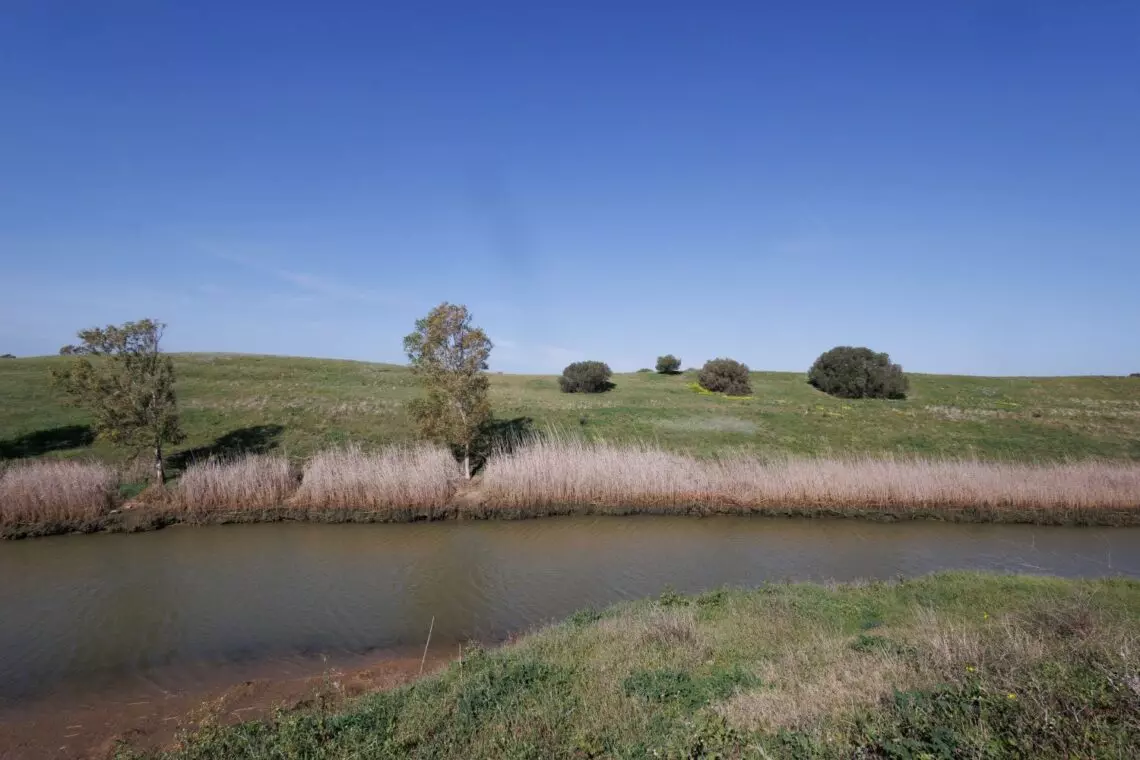 ¿Se sumará Vejer a la recuperación del humedal de La Janda?
