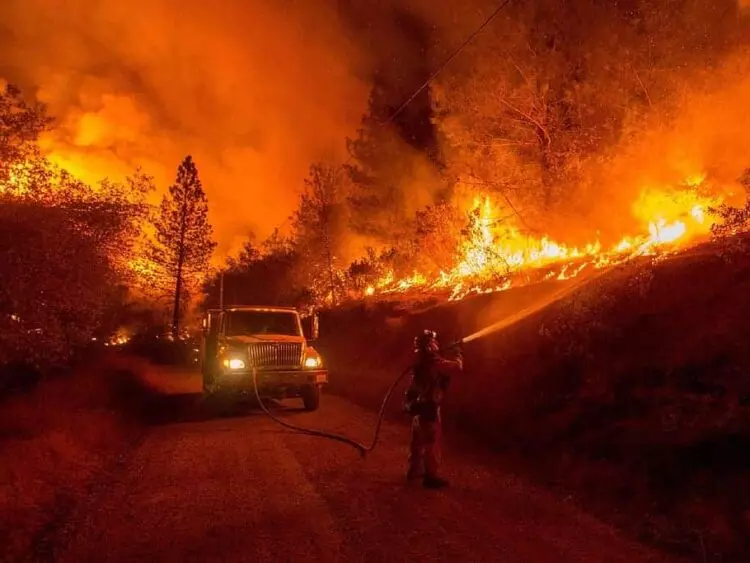 Portugal bajo el azote de incendios forestales: Una crisis recurrente