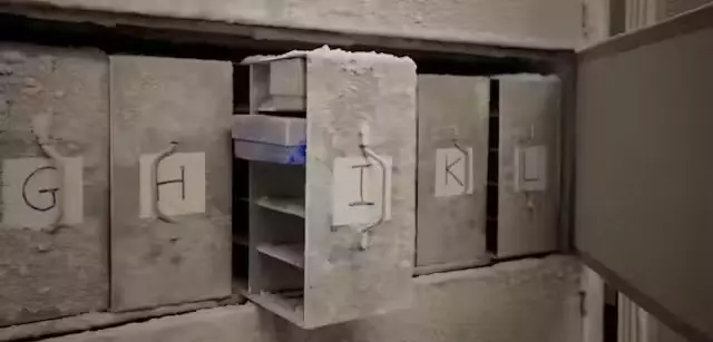 El arca de los microbios: un biobanco mundial para proteger la salud del planeta