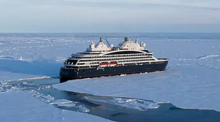 Investigación Científica Desvela Impacto del Cambio Ambiental en Ecosistemas Marinos Polares de Groenlandia