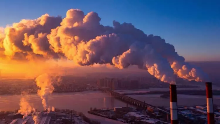 Noruega Revoluciona la Alimentación: CO2 Transformado en Nutriente Esencial para Salmones