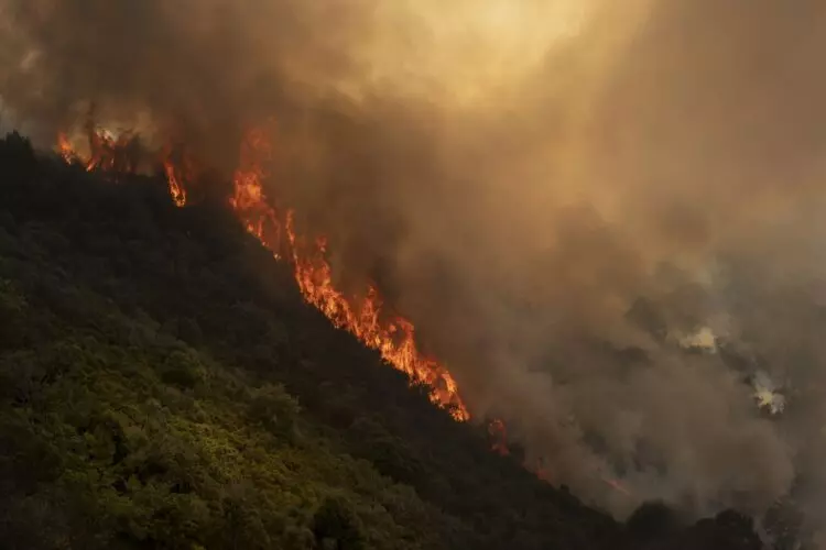 Incendios Forestales: Ourense en Alerta Máxima mientras Ávila y Las Hurdes Encuentran Respiro