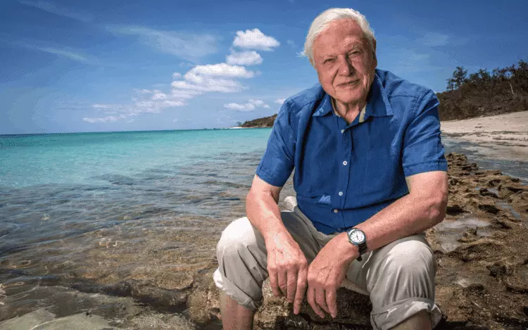 La Última Obra de David Attenborough Aboga por la Protección Marina Global