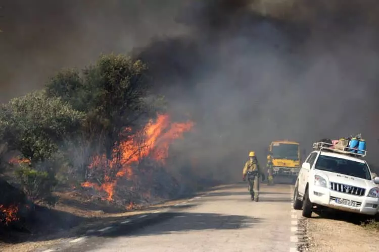 Incendios Forestales en Ávila: Un Llamado Urgente a la Gestión Forestal Eficaz