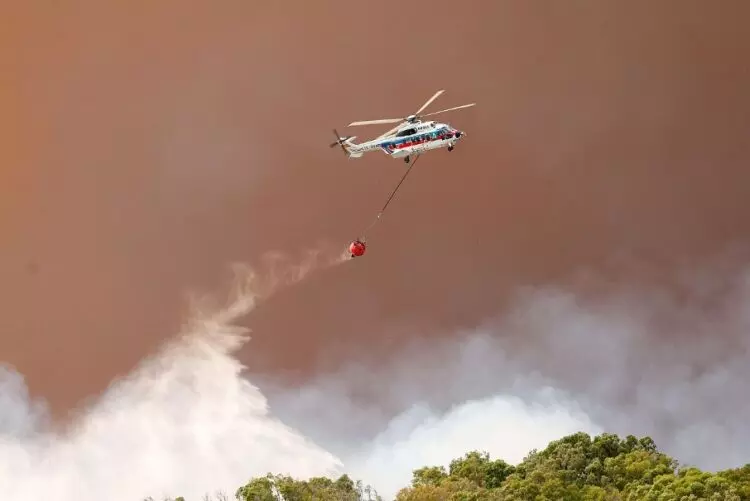 Incendio Forestal en Tarifa: Un Desalojo Rápido y Esfuerzos de Contención