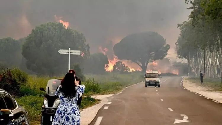 Catástrofe Forestal en Francia: Incendio Devasta 11,000 Hectáreas y Causa Víctimas