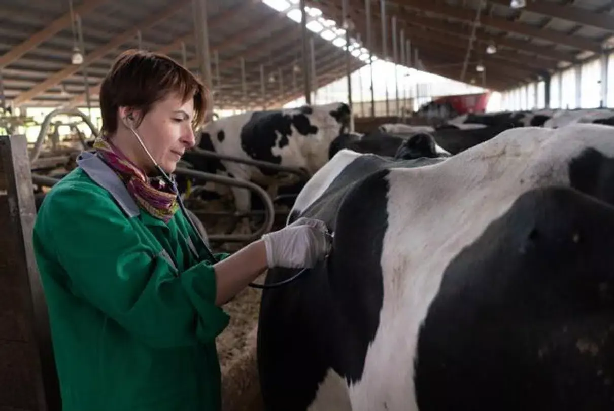 La Importancia Fundamental de la Veterinaria en la Salud Ecosistémica