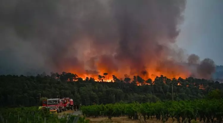 Controlado el Incendio Forestal Más Grande de Francia Desde 1949