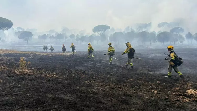 Incendio en San Bartolomé de Pinares: Control y desafíos en Ávila