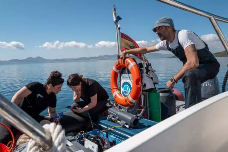 La Fundación Biodiversidad Impulsa el Desarrollo Sostenible con Casi 500 Propuestas de Proyectos