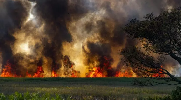 Comprensión de la Clasificación de Incendios Forestales: De la Alerta Local al Interés Nacional