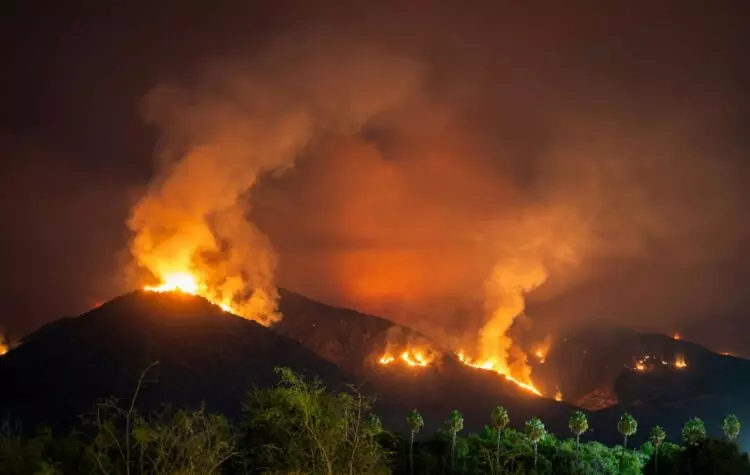 España ante el Desafío de los Incendios Forestales: Urge un Enfoque Científico en la Prevención y Restauración