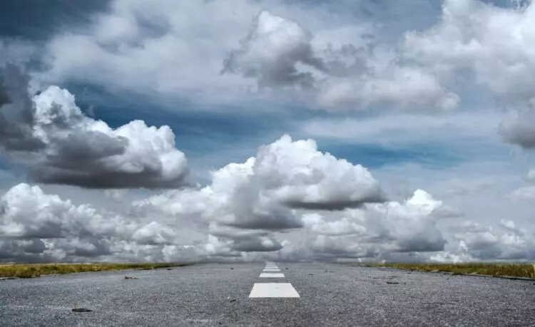 Impacto Devastador de los Incendios Forestales en España y Medidas de Precaución