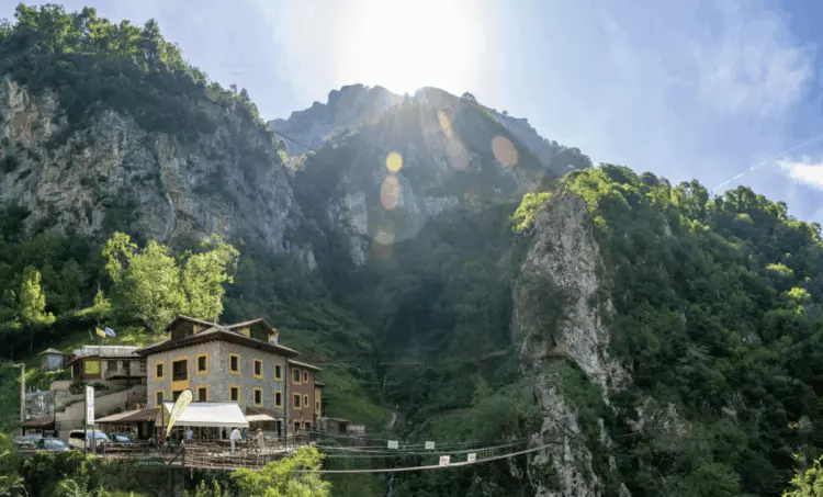 Impacto Devastador de los Incendios en las Reservas Naturales Españolas