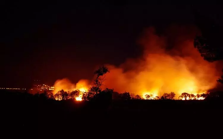 Derecho a Ayudas para Víctimas de Incendios Forestales: Un Llamado Urgente a la Solidaridad y la Reconstrucción