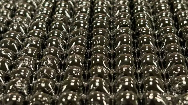 Innovación del MIT: Un "Material de Vida" para Combatir la Escasez de Agua Potable