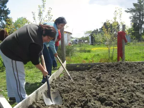 Fondo de Protección Ambiental: Impulsando Proyectos Comunitarios para un Entorno Sostenible