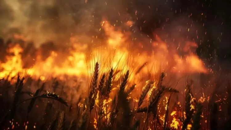 Alerta Máxima: El Riesgo de Incendios Forestales Persiste en España