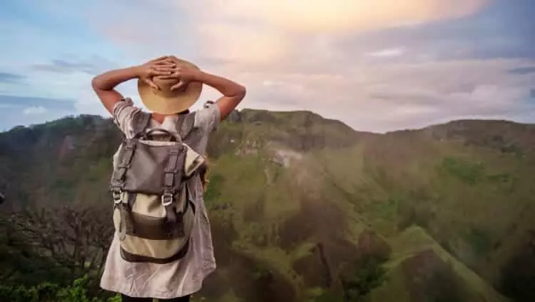 Gestión Sostenible del Bosque: Un Enfoque Multidimensional para Prevenir Incendios y Promover la Resiliencia