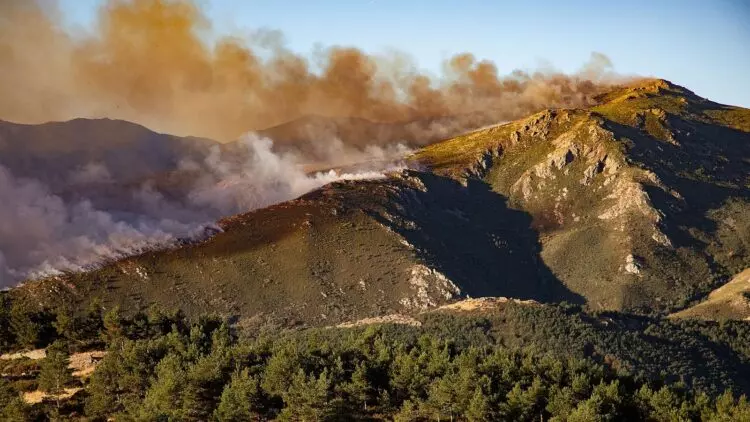 Incendio Forestal en Pico del Lobo: Una Batalla Contra el Fuego en la Sierra de Ayllón