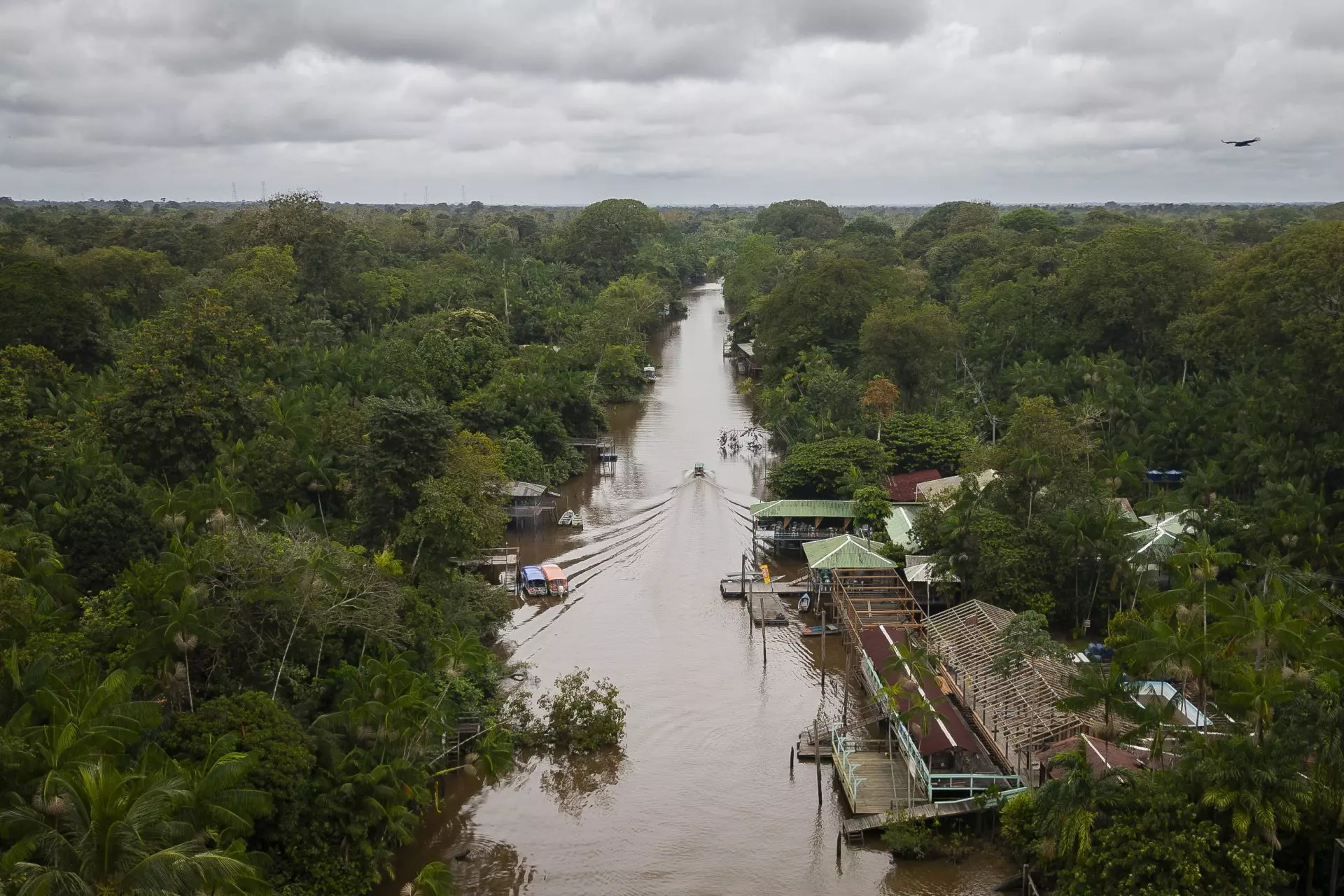 Brasil busca la implementación climática en la COP30: protección forestal y mayor financiamiento en el centro del debate
