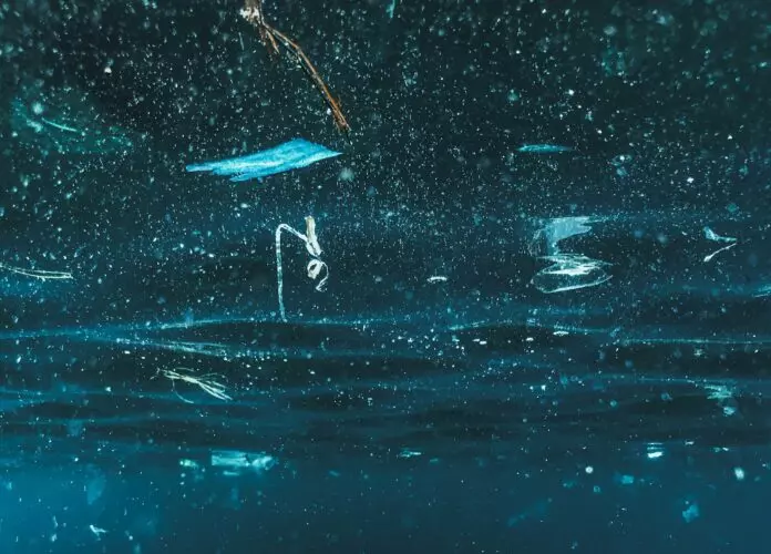 Bacterias combaten microplásticos en el Mediterráneo: Una esperanza ecológica