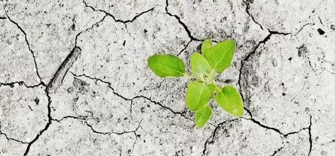 Financiación para la Adaptación Climática en la COP30: Un Desafío Crucial que Amenaza los Acuerdos Globales