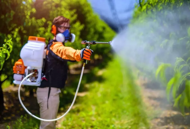 Día Mundial Sin Plaguicidas 2025: Un Llamado Urgente a la Agricultura Sostenible