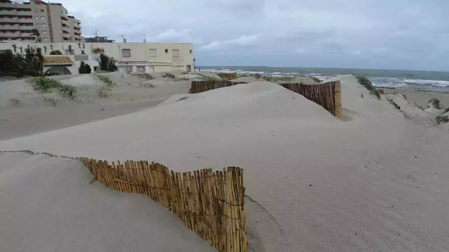 La Restauración de Dunas en La Manga: Un Escudo Contra la Erosión y Especies Invasoras