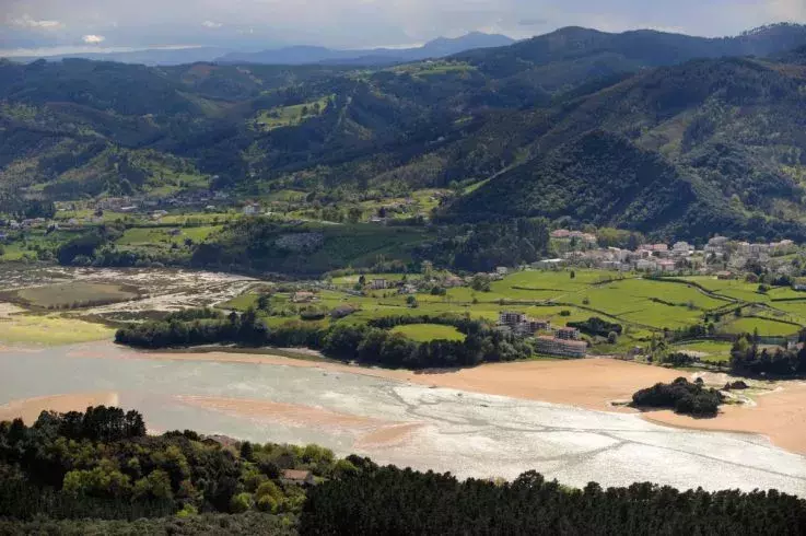 El Guggenheim de Bilbao renuncia a su expansión en la Reserva de la Biosfera de Urdaibai