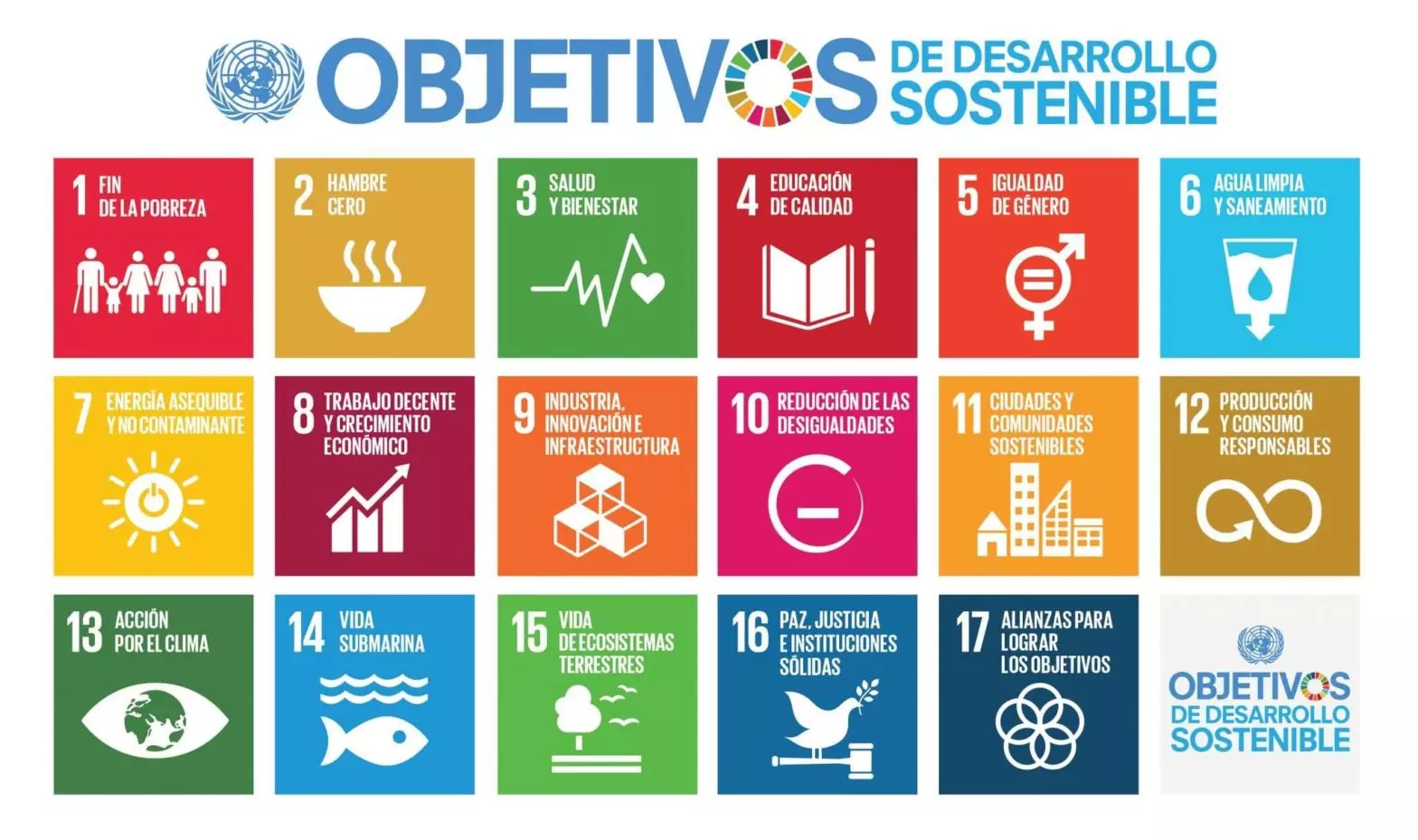 España se desvía de la Agenda 2030: Urge un cambio drástico para alcanzar los ODS