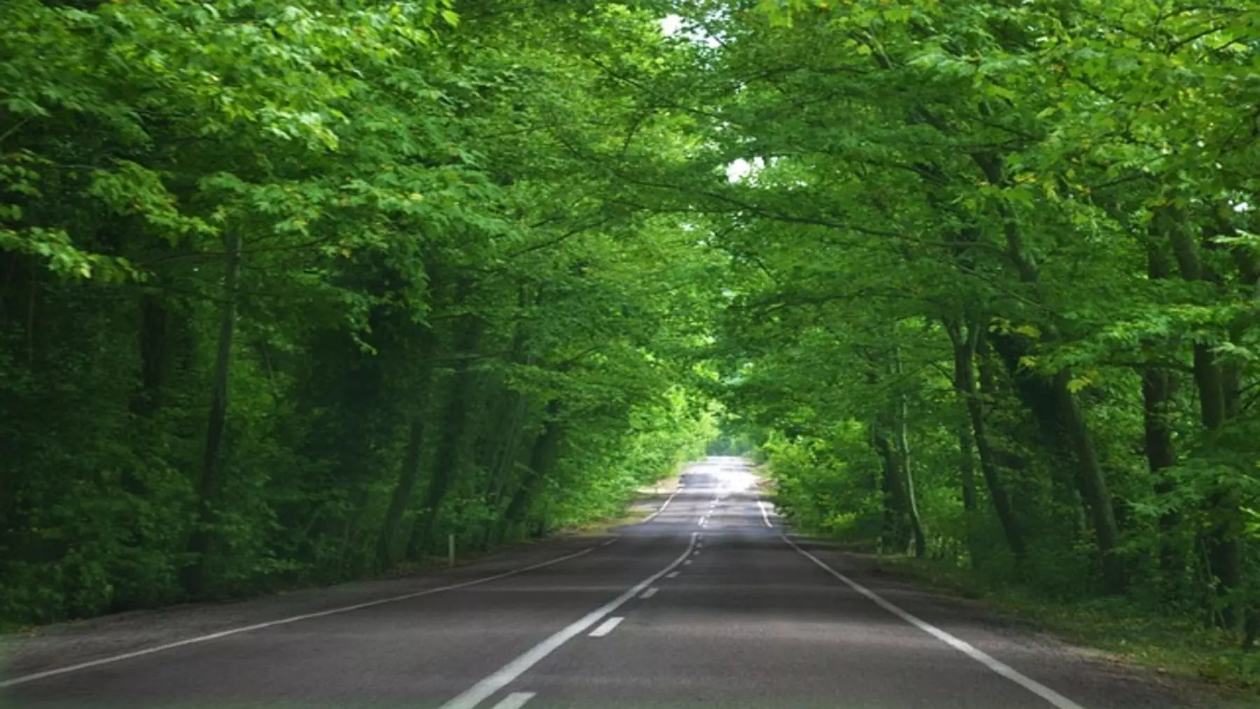 Bizkaia: La Revolución Sostenible en sus Vías Terrestres